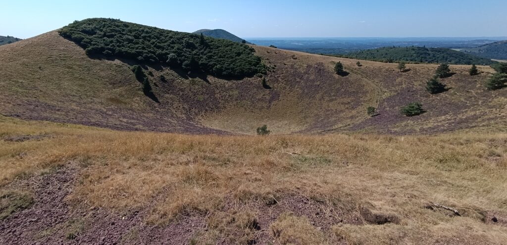 Photo du cratère d'un volcan auvergnat. Végétation rase hormis un petit bois sur le bord opposé. Au-dessus, le ciel est bleu.