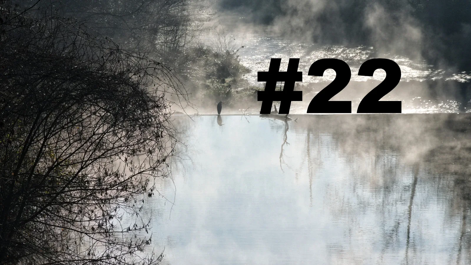 Chroniques du Gard #22