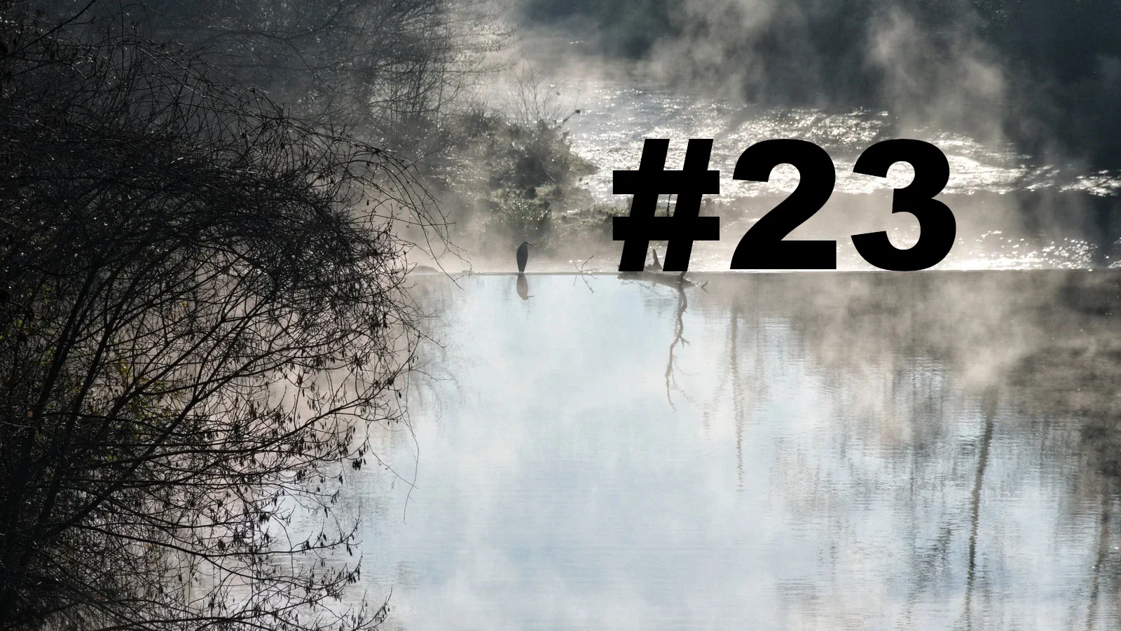 Chroniques du Gard #23