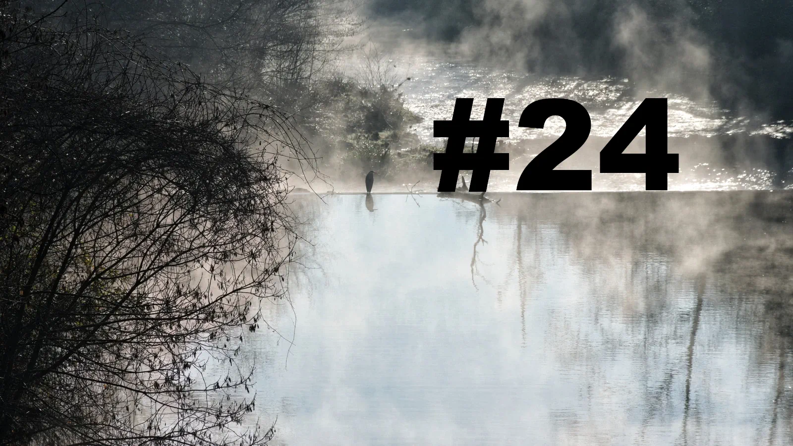 Chroniques du Gard #24