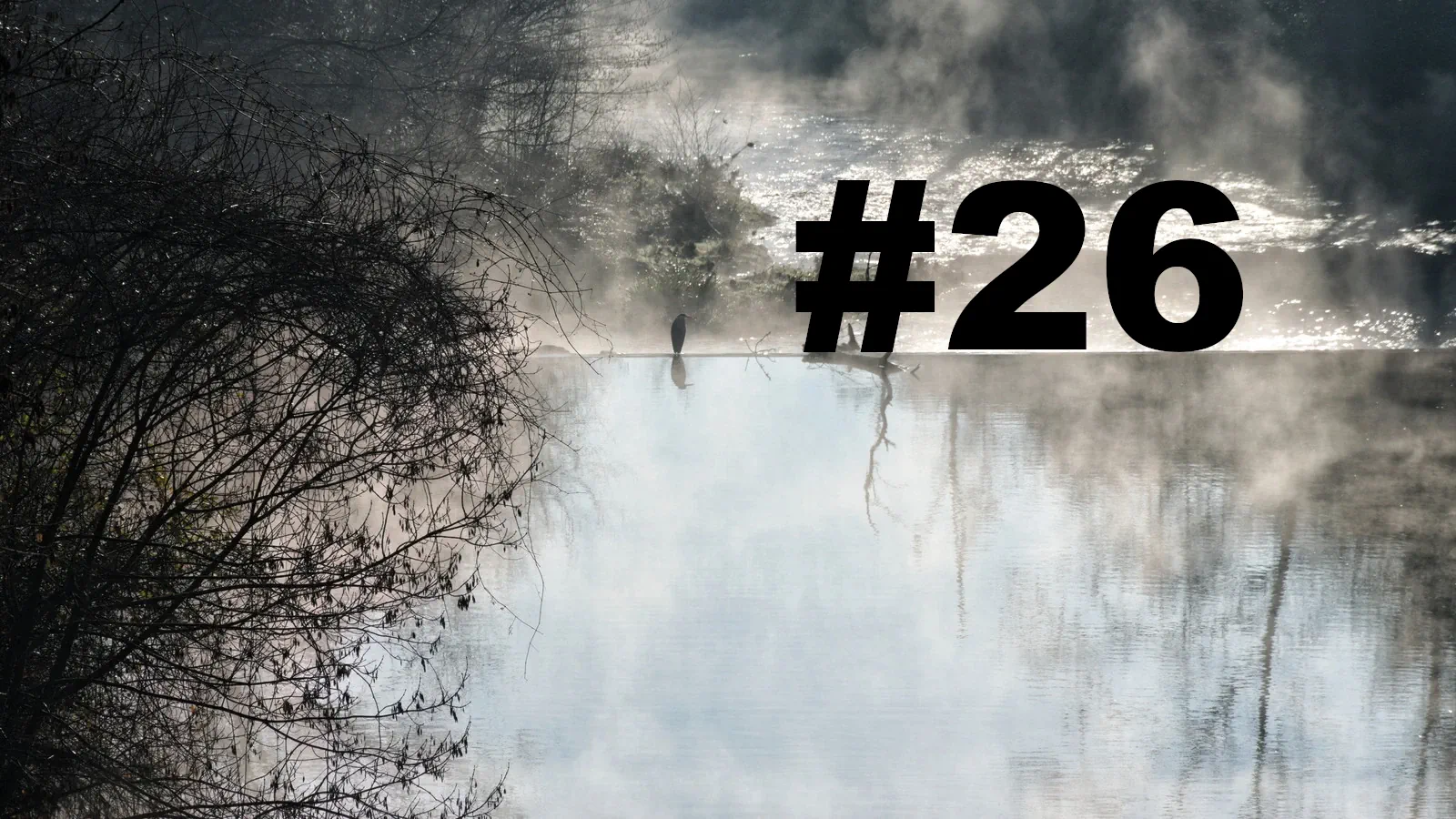 Chroniques du Gard #26