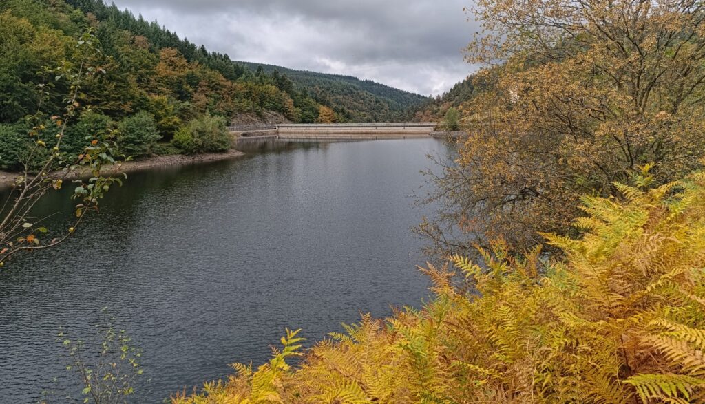 Photo d'un plan d’eau entouré de collines boisées, avec un barrage visible au fond et des fougères jaunes au premier plan.