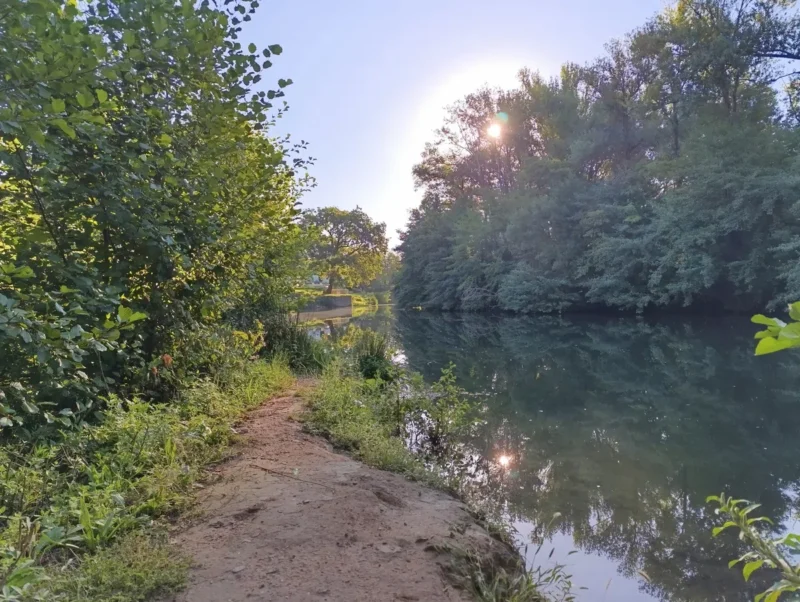 Photo depuis la rive d'un petit fleuve bordé de végétation dense, avec des arbres feuillus se reflétant dans l’eau calme sous un ciel bleu. Le soleil pointe derrière un arbre.
