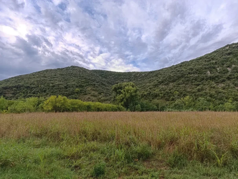 Photo d'une plaine gardoise herbeuse au premier plan, bordée d’arbres, avec en arrière-plan deux collines du massif de Coutach couvertes de végétation sous un ciel nuageux.