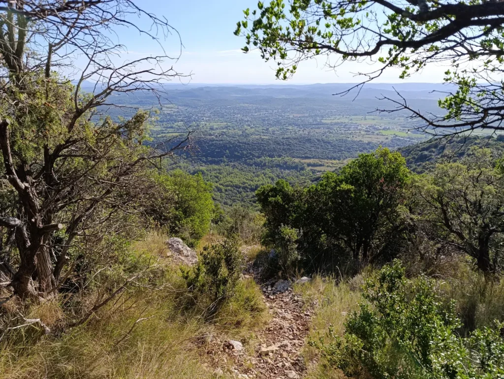 Photo depuis les hauteurs. Une sente, avec des arbres et buissons au premier plan, et une large vallée verdoyante en arrière-plan.