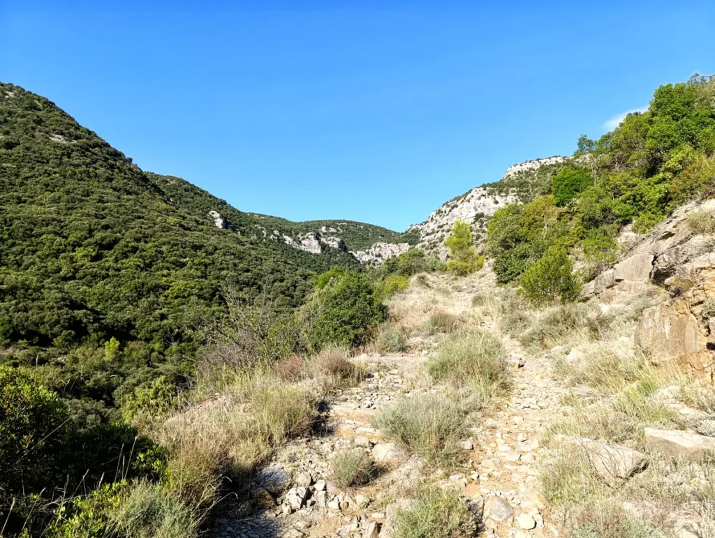 Photo d'un sentier caillouteux qui se dirige vers une reculée karstique au milieu de collines verdoyantes et de falaises claires sous un ciel bleu.