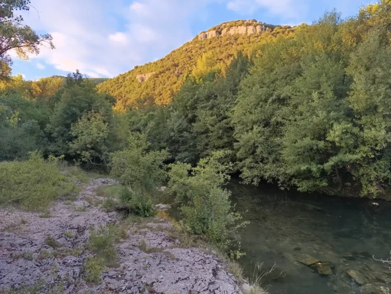 Photo d'un petit fleuve bordé d’arbres au pied d’un massif ensoleillé, avec des rochers au premier plan.