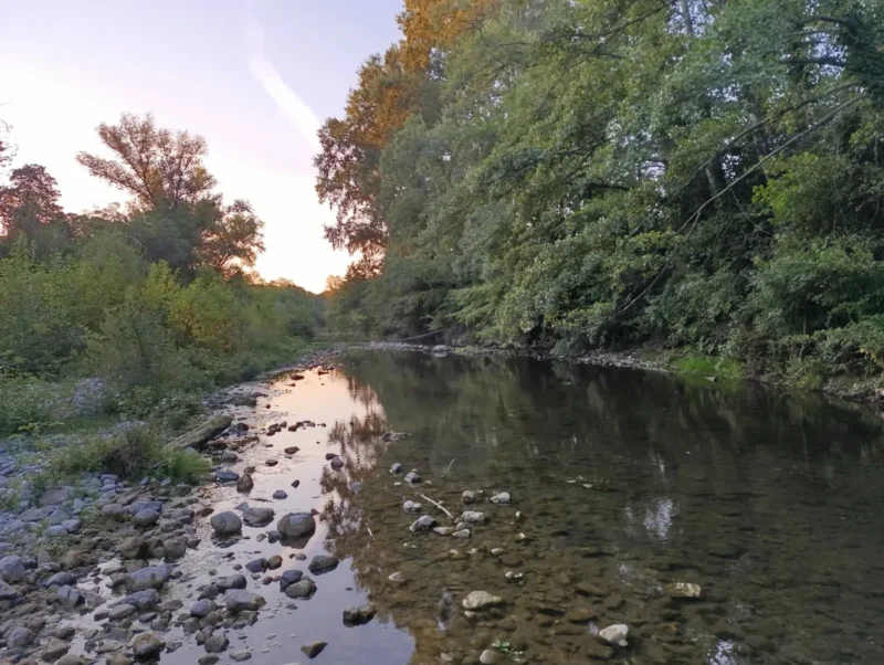 Un cours d’eau peu profond bordé de galets et de rochers. À gauche et à droite, des arbres et des buissons. Ciel clair à l’arrière-plan dans une lumière matinale.