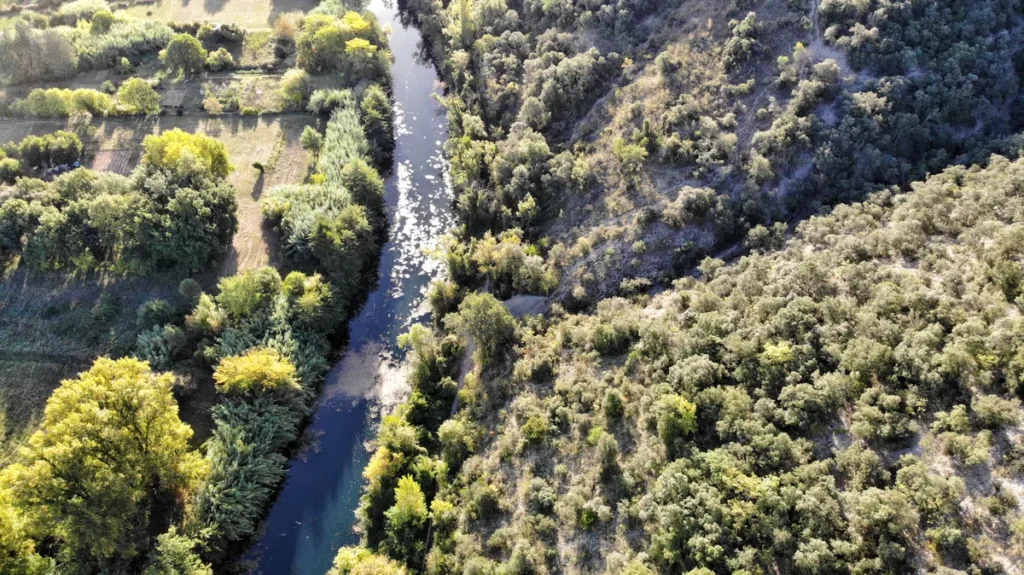 Vue du ciel. Un petit fleuve à l'eau semblant figée dans la lumière du soleil du matin. Sur ses rives, la végétation, entre arbres et buissons.