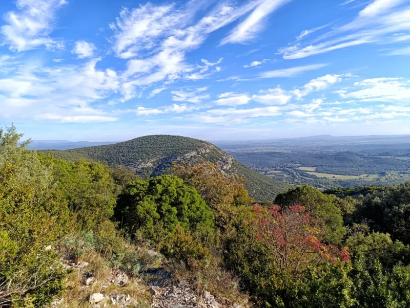 Photo d'un paysage gardois, dans un massif karstique, avec un relief arrondi couvert d’une végétation dense, principalement composée d’arbres et d’arbustes verts. Au premier plan, le terrain est pierreux et ponctué de buissons et de petites plantes. Quelques arbres dont le feuillage présente des teintes rouges ou jaunâtres. À l’arrière-plan, on distingue une vaste plaine s’étendant jusqu’à l’horizon, sous un ciel bleu parsemé de nuages blancs.