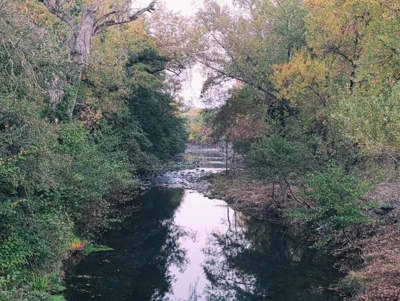 Un cours d'eau aux rives arborées parées de couleurs automnales dans une faible lumière matinale.