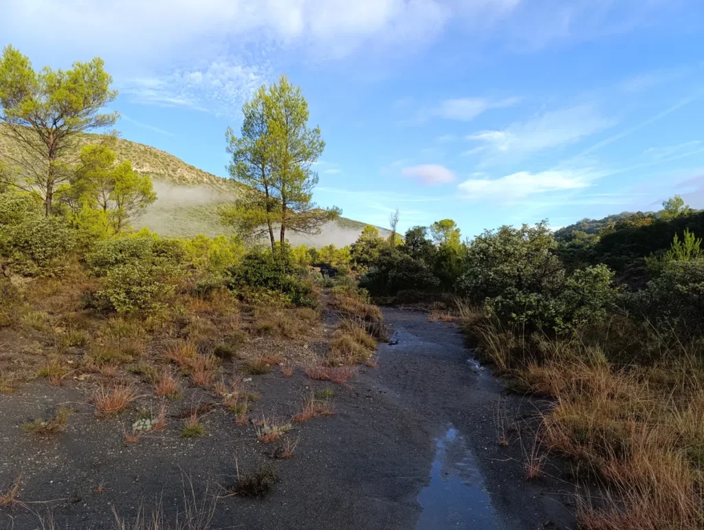 Photo d'un petit chemin bordé de végétation méditerranéenne dans des marnes grises, avec des arbres verts et une montagne légèrement brumeuse en arrière-plan, sous un ciel bleu clair.