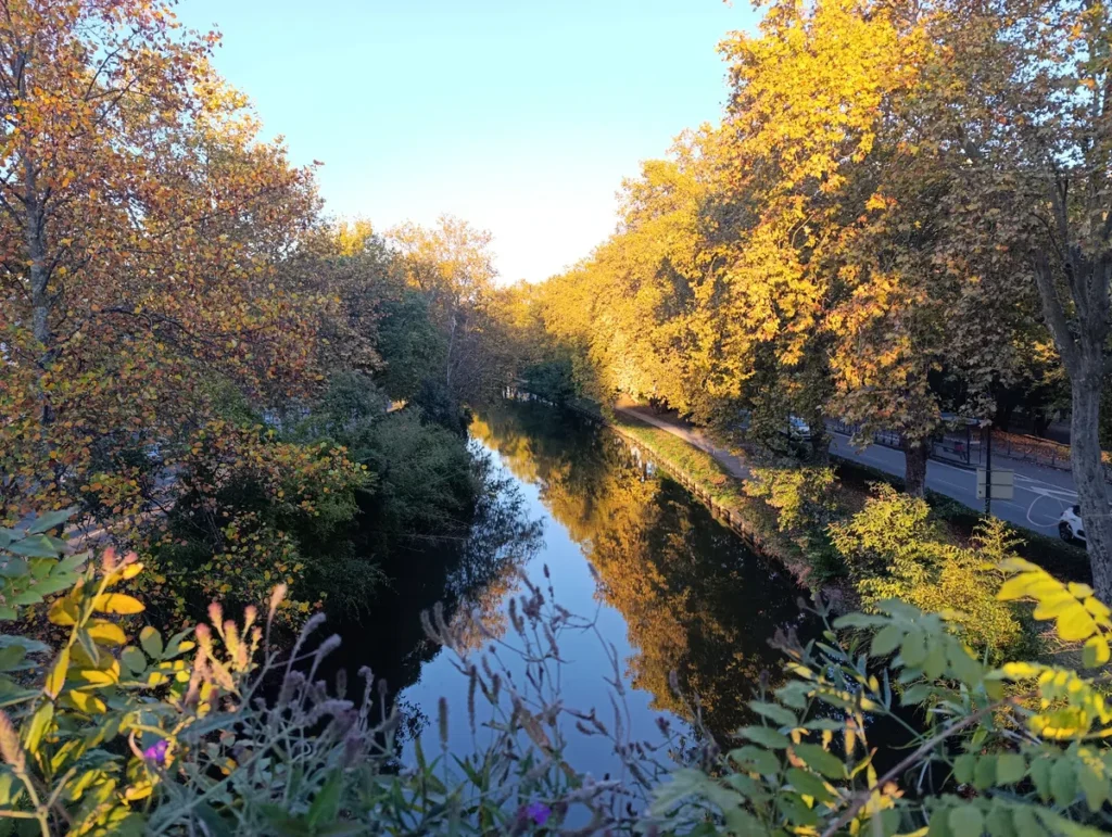 Photo du canal de Midi et de ses rives arborées aux couleurs d'automne. Photo prise depuis la passerelle Kléber Haedens à Toulouse.