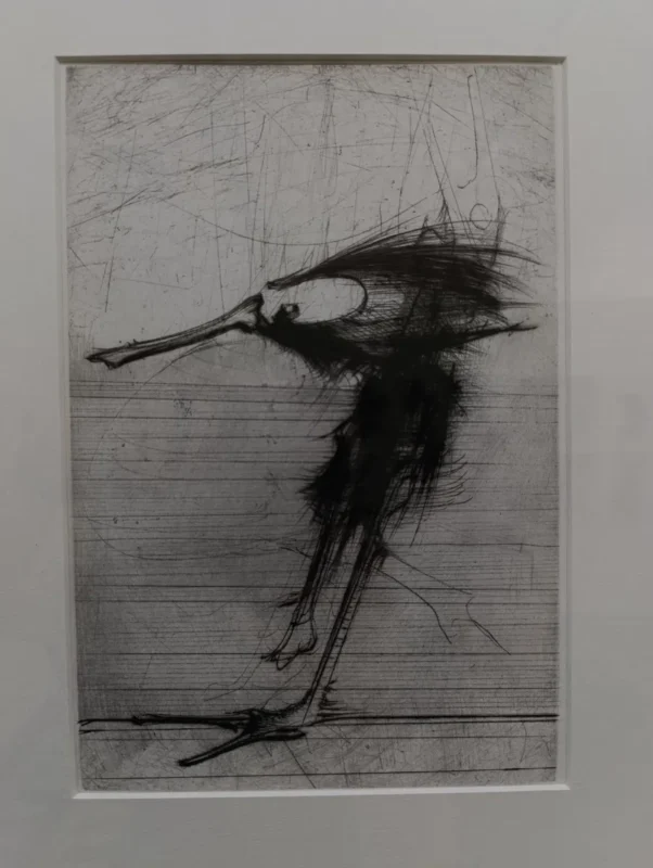 Photo d'un dessin noir et blanc. Un oiseau stylisé au bec allongé avec des traits dynamiques et un fond texturé.