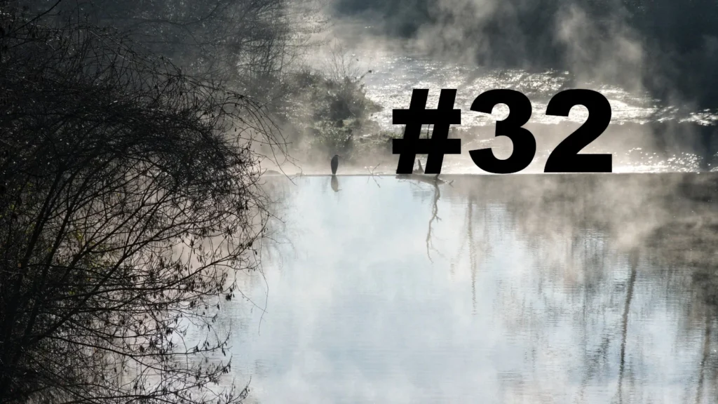 Un oiseau posé sur le bord d'une petite cascade sur un cours d'eau. Un arbre sur la gauche. Au-dessus de l'eau, des brumes de vapeurs. L'eau au premier plan semble sans mouvement, tandis qu'après la cascade le cours d'eau se transforme en torrent. Sur la droite le numéro de la chronique précédé d'un dièse.
