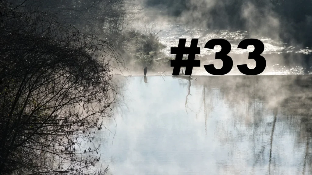 Un oiseau posé sur le bord d'une petite cascade sur un cours d'eau. Un arbre sur la gauche. Au-dessus de l'eau, des brumes de vapeurs. L'eau au premier plan semble sans mouvement, tandis qu'après la cascade le cours d'eau se transforme en torrent. Sur la droite le numéro de la chronique précédé d'un dièse.