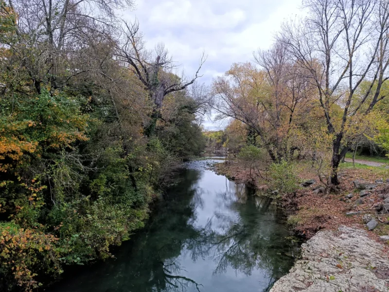 Photo d'un petit fleuve entouré de végétation dense, avec des arbres aux couleurs automnales de part et d’autre sous un ciel bien couvert, dans une faible lumière matinale. Au premier plan, sur la droite, on perçoit une dalle rocheuse qui plonge dans l'eau du Vidourle.