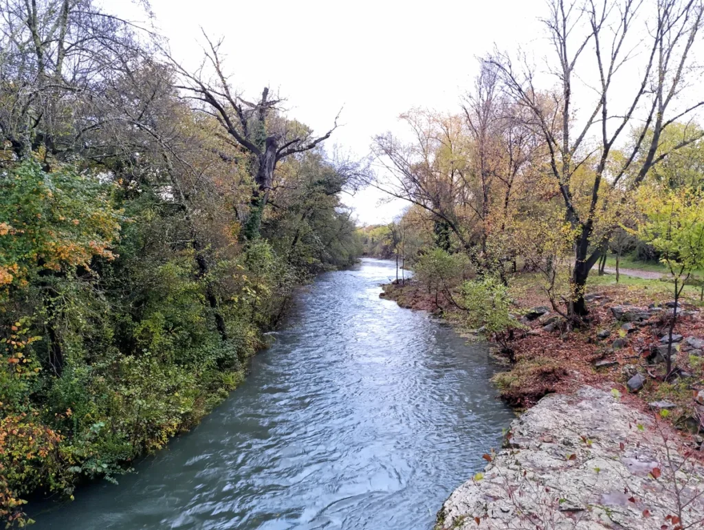 Photo d'un petit fleuve à l'eau légèrement agitée, entouré de végétation dense, avec des arbres aux couleurs automnales de part et d’autre sous un ciel bien couvert, dans une faible lumière matinale. Au premier plan, sur la droite, on perçoit une dalle rocheuse qui plonge dans l'eau du Vidourle.
