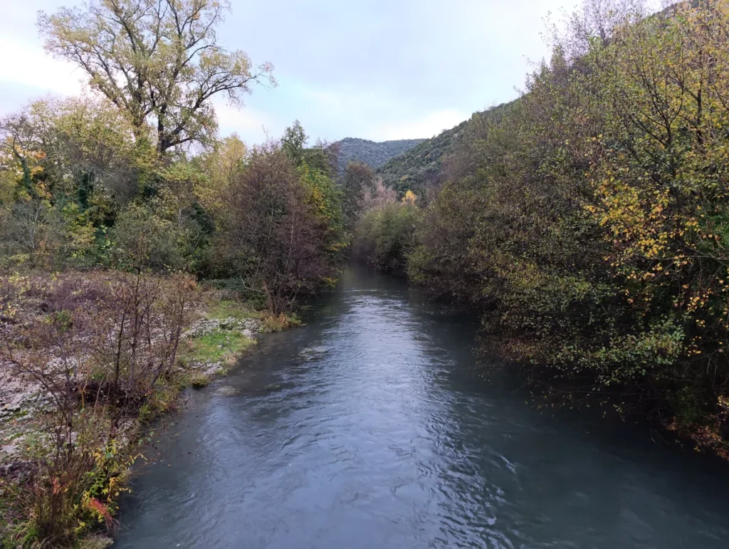 Photo d'un petit fleuve entouré de végétation dense, avec des arbres aux couleurs automnales de part et d’autre sous un ciel couvert, dans une faible lumière matinale. Au premier plan, sur la gauche, on la rive rocheuse qui plonge dans l'eau du Vidourle.