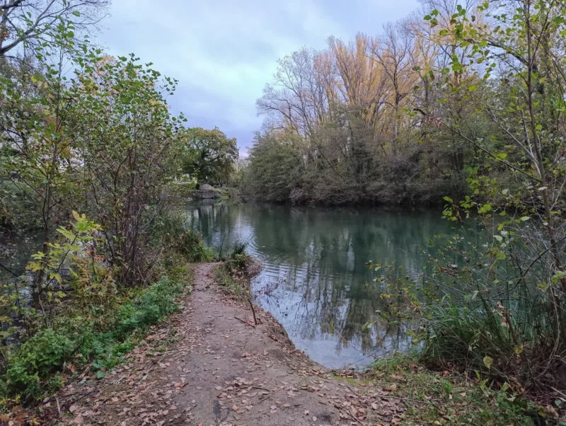 Photo depuis la rive d'un petit fleuve bordé de végétation automnale, avec des arbres dont l'image se reflètent dans l’eau calme sous un ciel fort couvert et dans une faible lumière matinale.