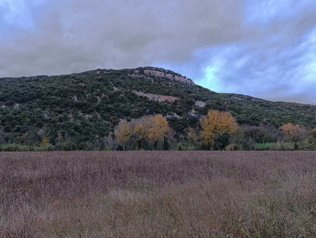 Un massif karstique au petit matin. Au premier plan, un champ d'herbe séchée et quelques arbres au loin. Ciel très nuageux et faible luminosité.