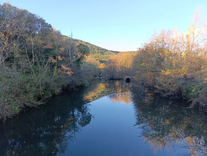 Un petit fleuve côtier et ses berges à la végétation automnale dans une douce lumière matinale, sous un ciel dégagé. On perçoit les vestiges du déversoir d'un ancien moulin.