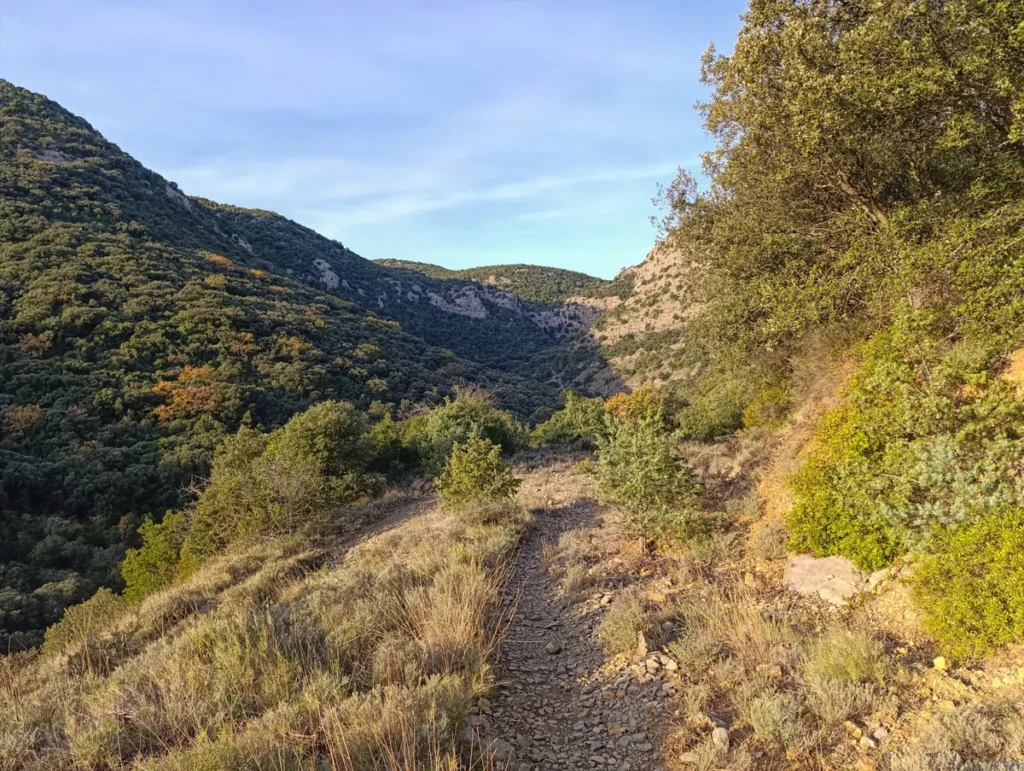 Un sentier de terre serpente à flanc de colline, entouré de végétation méditerranéenne. En arrière-plan, le fond d'une reculée karstique sous un ciel clair et bleu.