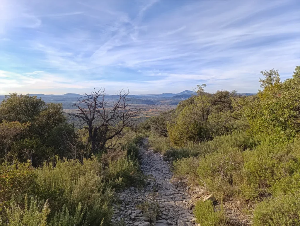 Un sentier pierreux en pente douce traverse une végétation basse mais dense. À gauche, un arbre sec se détache sur un paysage de collines et de collines lointaines. Le ciel est dégagé, avec quelques nuages légers.