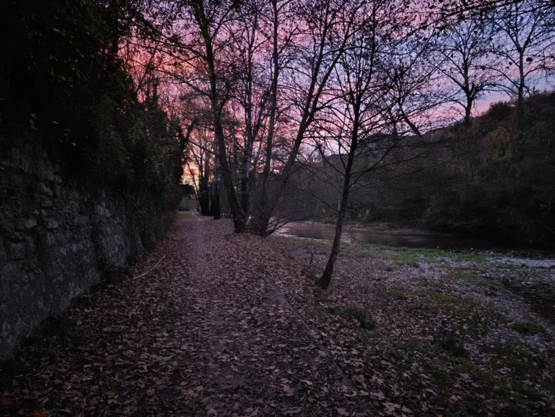Photo d'un petit chemin sur les rives du Vidourle, recouvert de feuilles mortes, bordé à gauche par un mur de pierre recouvert de végétation. À droite, une série d’arbres fins et élancés laisse entrevoir le lit du petit fleuve peu profond. Il fait à peine jour et le ciel est coloré de rouge, prémisse du levé du jour.