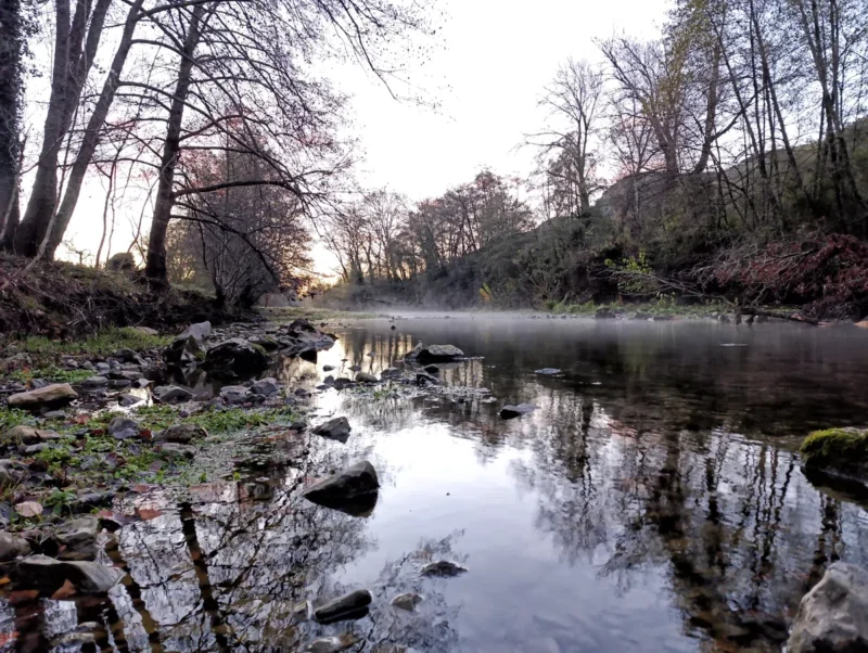 Photo d'un petit fleuve à l'eau tranquille au petit matin. L'image a été capturée au raz de l'eau. Les arbres qui bordent le fleuve de chaque côté sont sur un mode automnal.