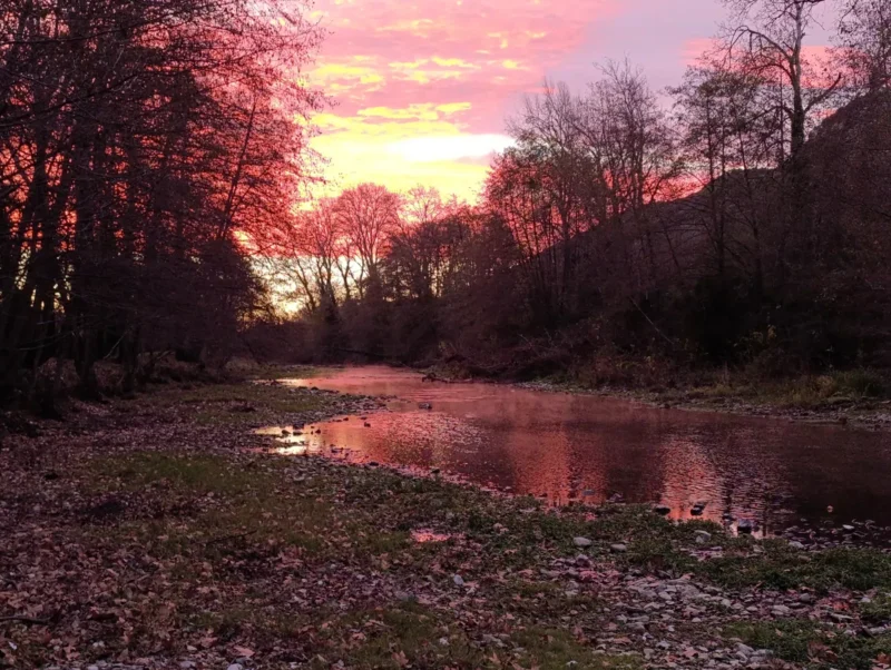 Photo d'un petit fleuve sous un ciel coloré de rouge au petit matin. Des arbres en mode hivernal bordent le cours d'eau. L'eau est tentée de rouge et la végétation s'y reflète.
