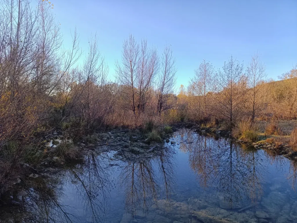 Ce qui semble une petite retenue d'eau sous un beau ciel bleu. Au second plan, une rangée d'arbres et de végétation.
