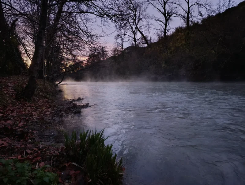 Sur les rives d'un petit fleuve avant le lever du jour. Sur ses rives, des arbres et des feuilles mortes au sol. Le ciel est dégagé mais encore bien sombre.