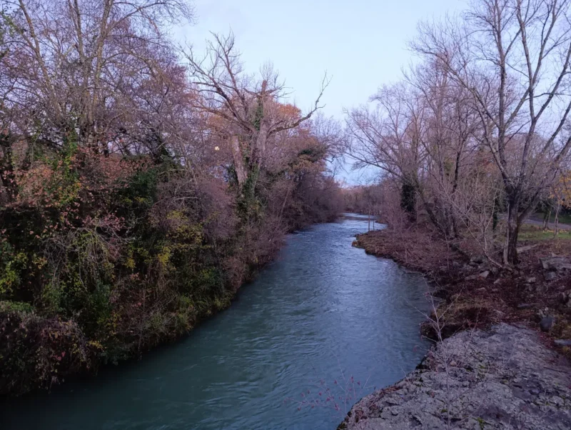Photo d'un petit fleuve entouré de végétation dense, avec des arbres aux couleurs automnales de part et d’autre dans une faible lumière matinale. Au premier plan, sur la droite, on perçoit une dalle rocheuse qui plonge dans l'eau du Vidourle. Sur la gauche, dans les feuillages, non loin du tronc d'un arbre, on perçoit un point blanc. La lune pleine.