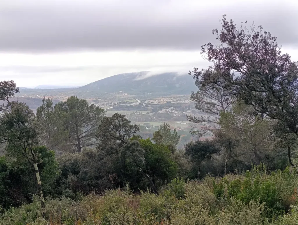 Un petit massif dans les nuages, en partie masqué derrière les arbres d'un petit bois. Le ciel est bien couvert.