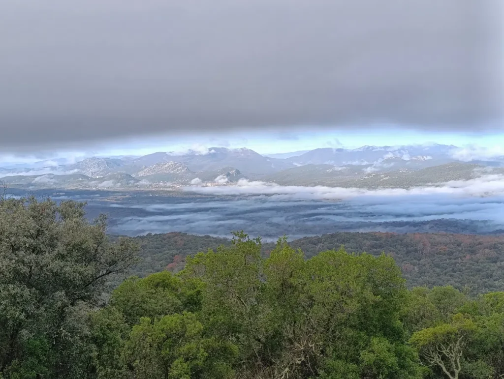 Au loin, après des bois, on distingue une plaine et des montagnes léchées par la brume.