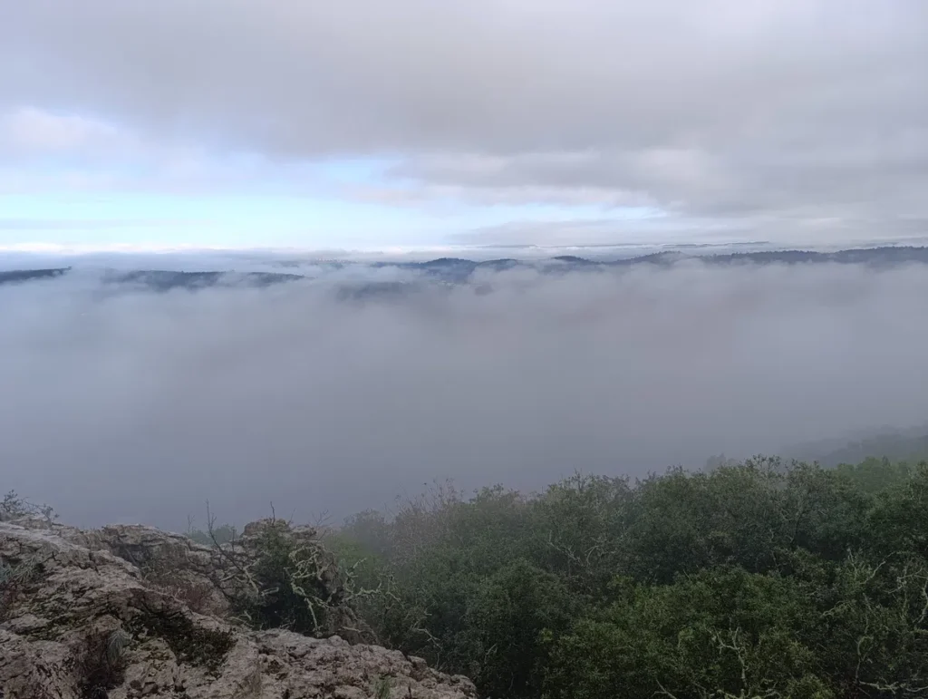 Une large nappe de brume s'étale en contrebas.