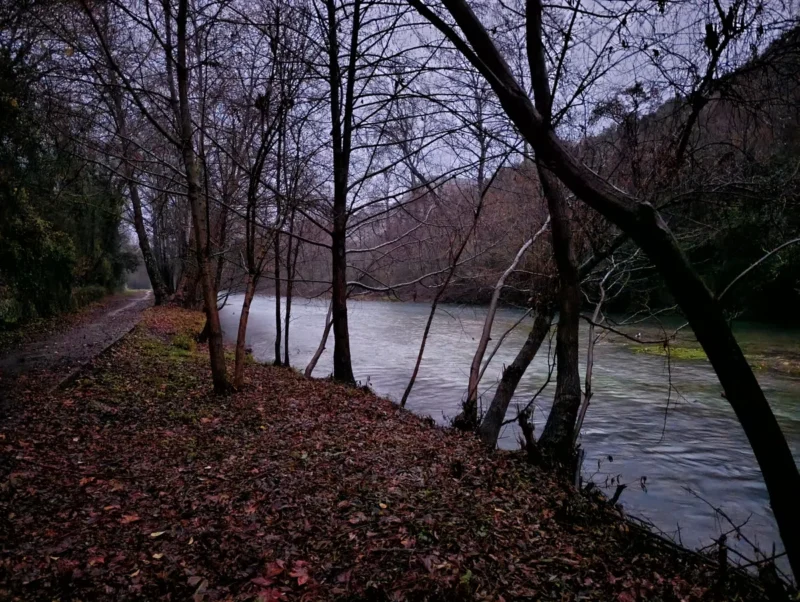 Un petit chemin le long d'un petit fleuve boueux. Au sol, de nombreuses feuilles mortes. Le ciel est très nuageux et le jour n'est pas encore levé.