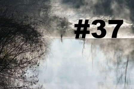 Chroniques du Gard #37