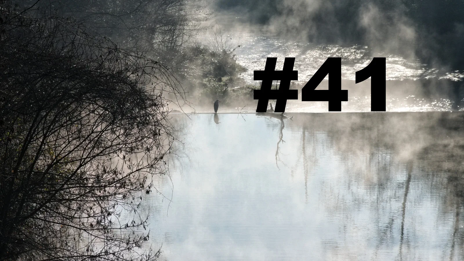 Chroniques du Gard #41