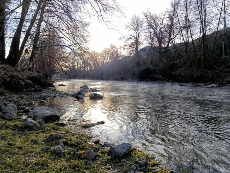 Un fleuve peu profond entouré de végétation hivernale, avec des arbres dénudés et une colline en arrière-plan au petit matin. De l'herbe légèrement blanchie et des petites roches au premier plan sur la gauche de la photographie.