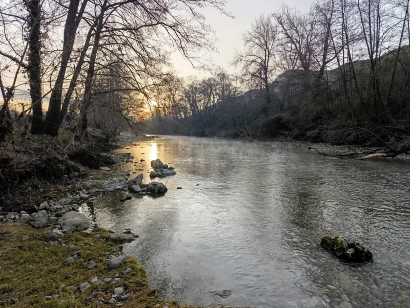 Un fleuve peu profond entouré de végétation hivernale, avec des arbres dénudés et une colline en arrière-plan au petit matin. Le soleil pointe au loin. De l'herbe et des petites roches au premier plan sur la gauche de la photographie.