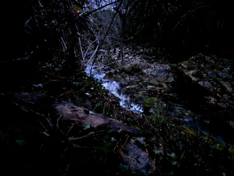 Un ruisseau à peine visible dans l'obscurité. On distingue un morceau de bois et un peu de végétation. Un bout de ciel couvert apparaît à peine.