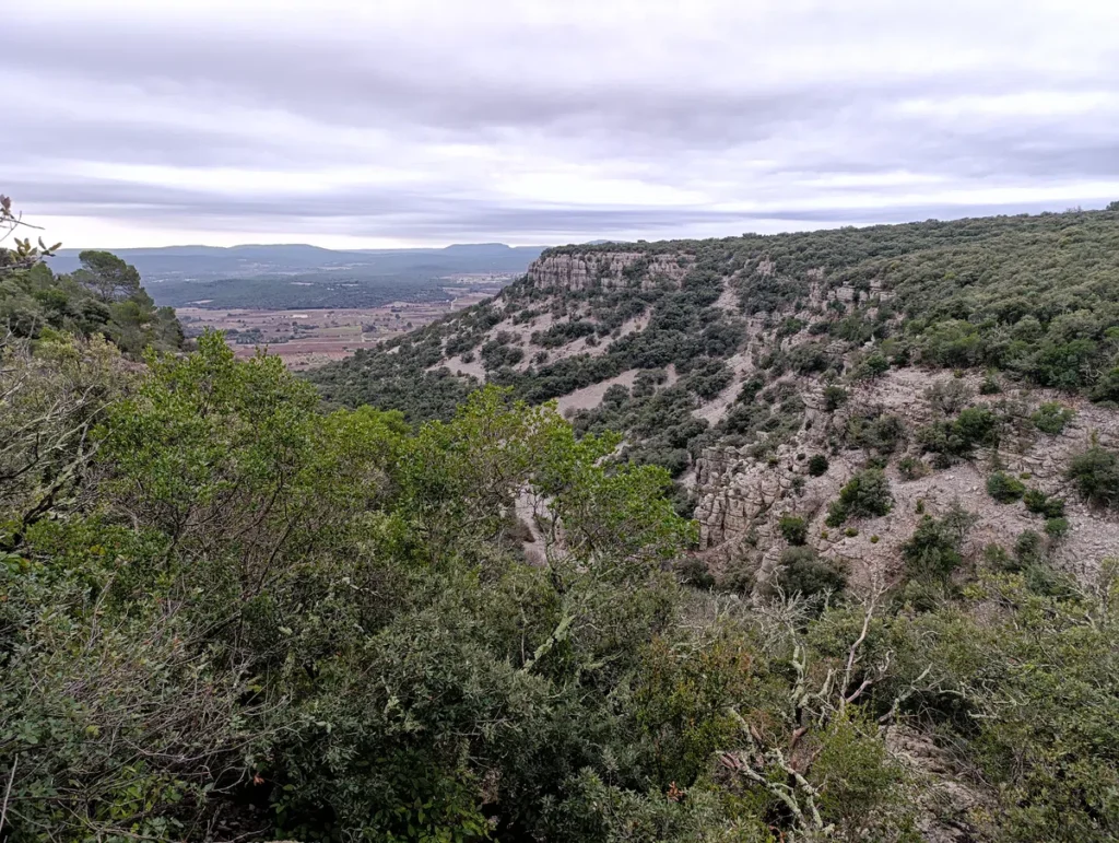 Vue des hauteurs d'un ravin dans un massif à la végétation basse, sous un ciel couvert.