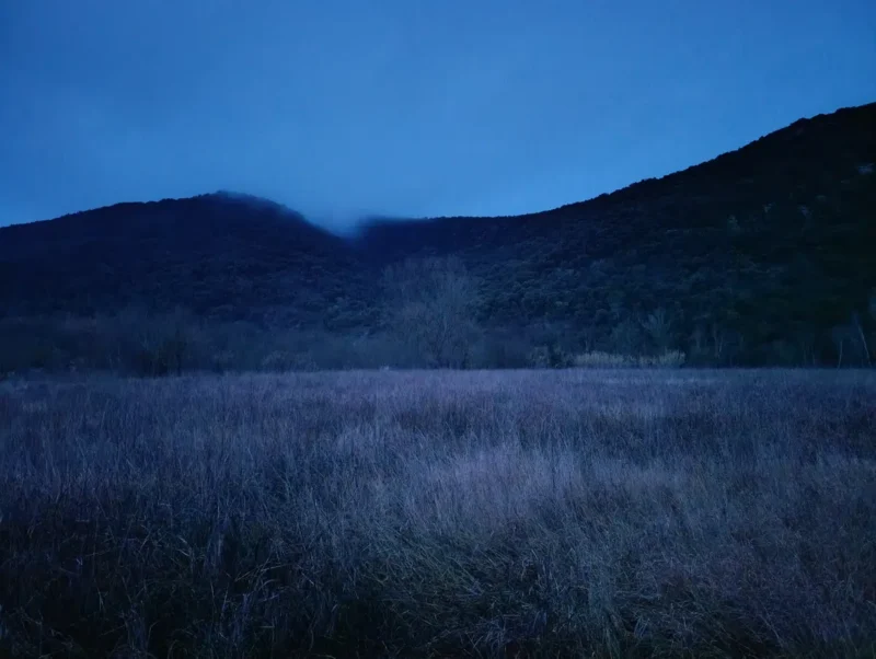 Dans l'obscurité. Au premier plan, un champ d'herbe sèche. En arrière-plan, un massif, la tête dans les nuages, sous un ciel couvert avant le lever du jour.
