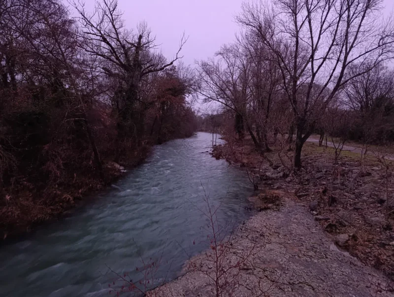 Photo d'un petit fleuve entouré de végétation dense, avec des arbres aux couleurs hivernales de part et d’autre dans une très faible lumière matinale, sous un ciel couvert. Au premier plan, sur la droite, on perçoit une dalle rocheuse qui plonge dans l'eau du Vidourle.