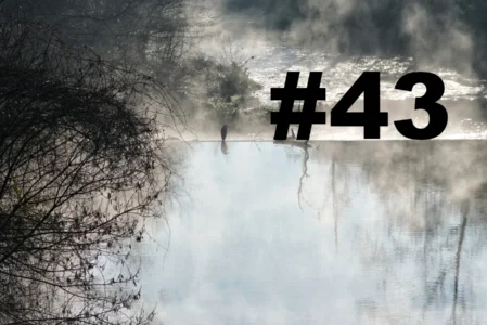 Chroniques du Gard #43