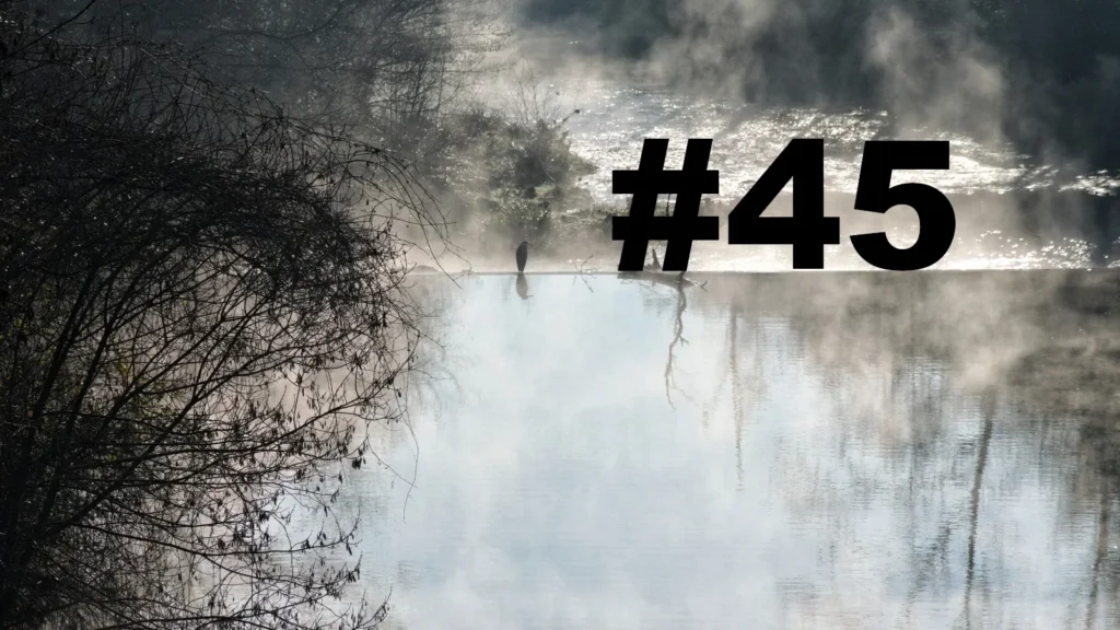 Un oiseau posé sur le bord d'une petite cascade sur un cours d'eau. Un arbre sur la gauche. Au-dessus de l'eau, des brumes de vapeurs. L'eau au premier plan semble sans mouvement, tandis qu'après la cascade le cours d'eau se transforme en torrent. Sur la droite le numéro de la chronique précédé d'un dièse.