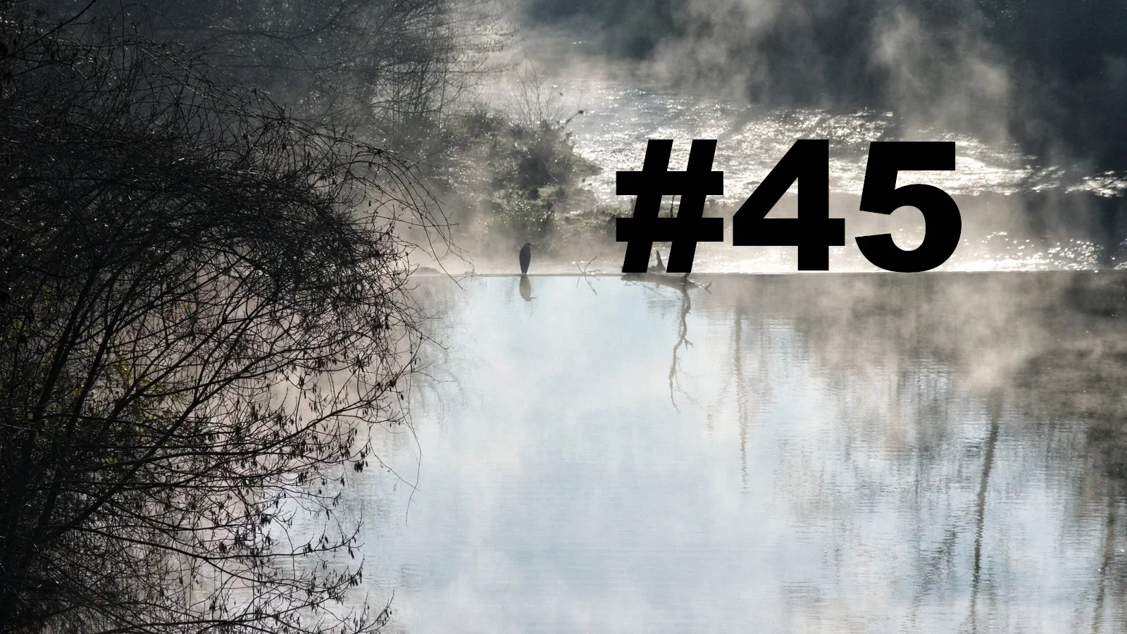 Chroniques du Gard #45