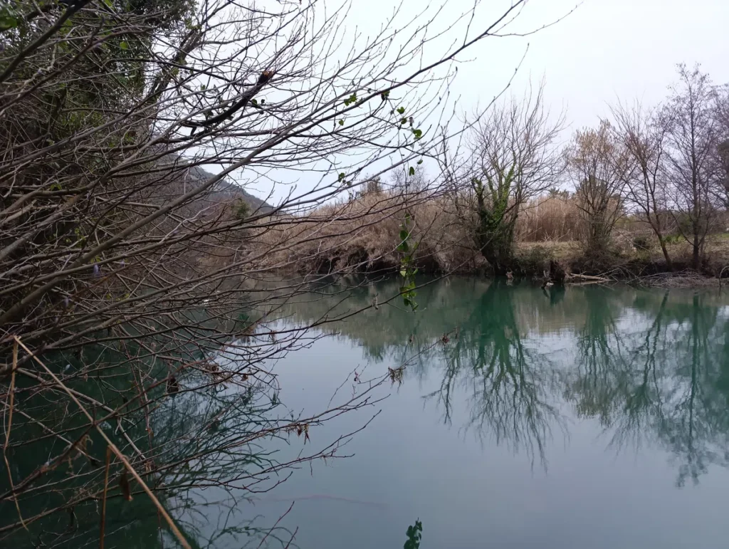 Photo depuis les berges d'un petit fleuve avec de la végétation de part et d'autre du cours d'eau. Des branches au premier plan sur la gauche. Le ciel est gris et peu lumineux.